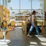 featured image for PHYLUM