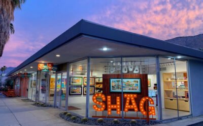 featured image for The Shag Store